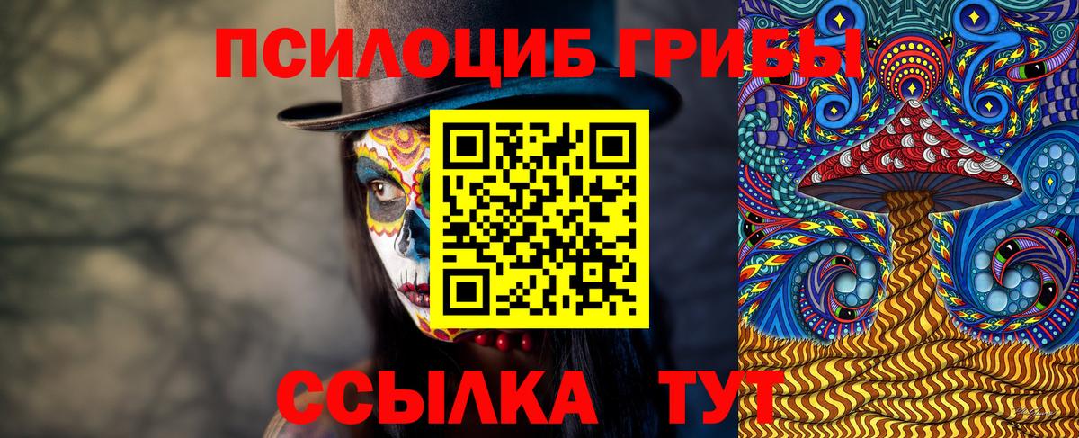 Галлюциногенные грибы Magic Shrooms  Вход с VPN  Дмитров 